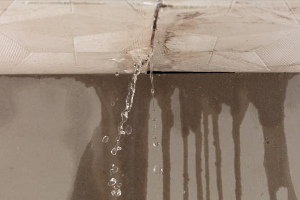 Professional Flood Damage Cleanup technician working in Dunkirk, IN